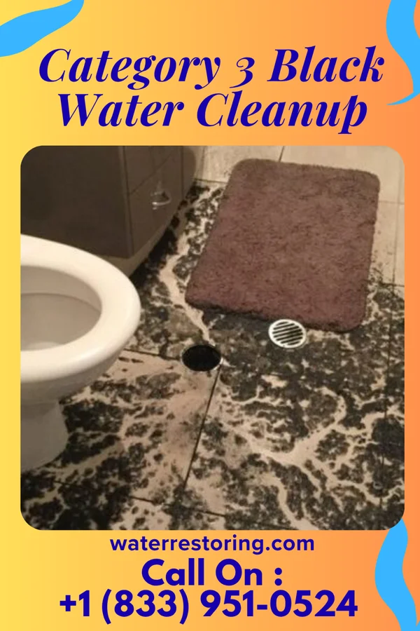 Category 3 Black Water Cleanup in Jersey Shore, PA