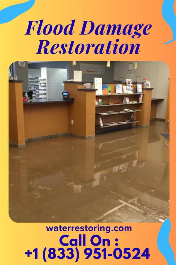 Flood Damage Restoration in Jersey Shore, PA
