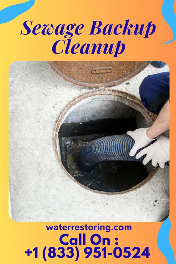Sewage Backup Cleanup in Jersey Shore, PA