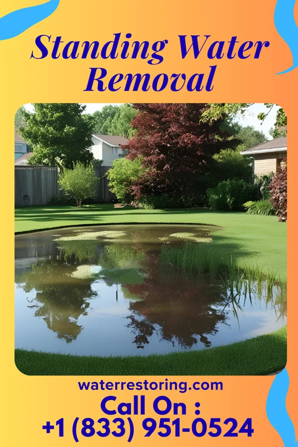 Standing Water Removal in Jersey Shore, PA
